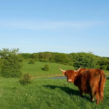 Reethus Koppelkiek - Kompakt & Gemuetlich Mit Terrasse