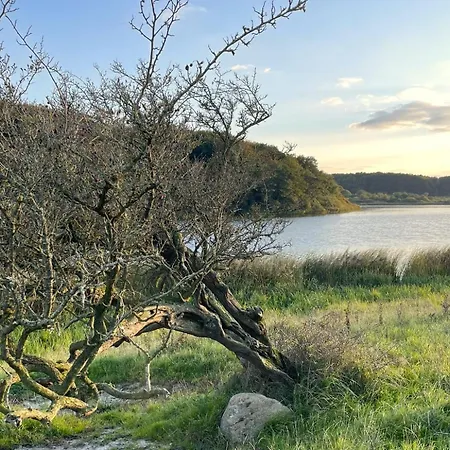 Reethus Koppelkiek - Kompakt & Gemuetlich Mit Terrasse * Husby (Schleswig-Flensburg)