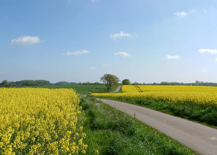 Reethus Koppelkiek * Husby (Schleswig-Flensburg)